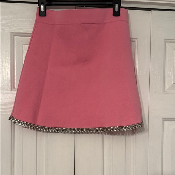 Zara Pink Mini Skirt with Silver Accents - Picture 7 of 7